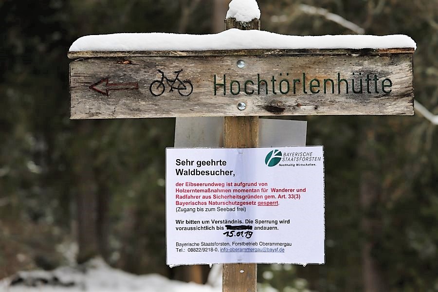 Holzernte am Eibsee (Foto: Knut Kuckel)