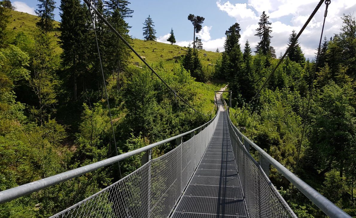 Die 56 Meter lange "Hacker-Pschorr-Brücke" schwebt 30 Meter über der Faukenschlucht. (Foto: Knut Kuckel)