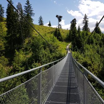 Die 56 Meter lange "Hacker-Pschorr-Brücke" schwebt 30 Meter über der Faukenschlucht. (Foto: Knut Kuckel)